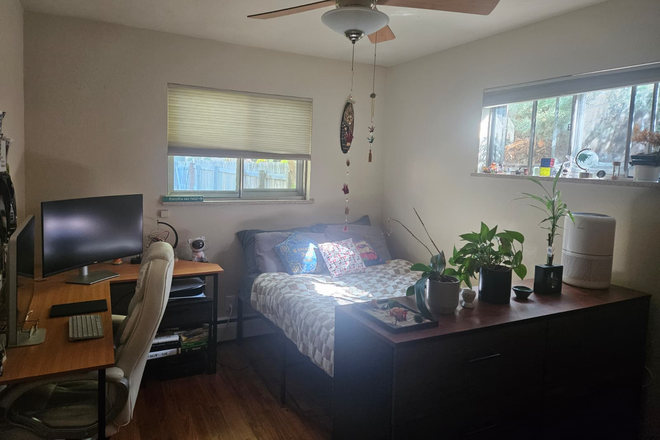 Available Bedroom (Furnished) - Private bedroom + Private bathroom in a 3 bed 3 bath house near east campus