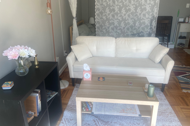 studio - Studio Sublease – Idaho Terrace NW