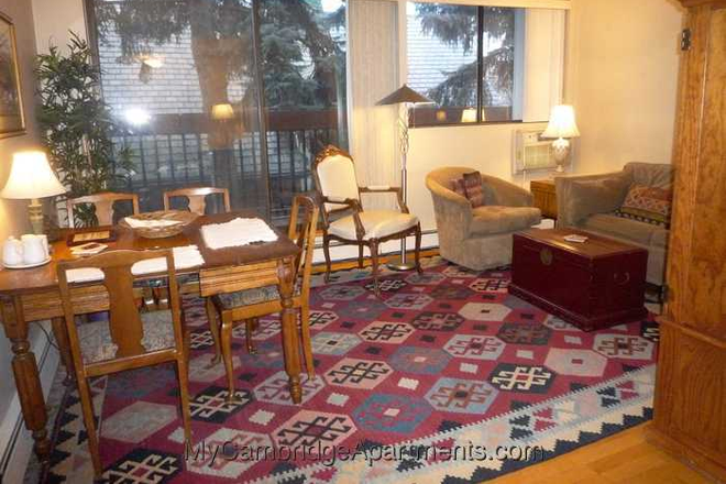 Living + dining room - Fully Furnished Room in 2BD Condo | 3 Blocks to Harvard Yard | Summer Sublet + Option to Extend!