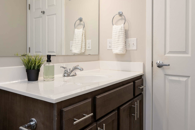 Bathroom - Grand and Finn Apartments (summer sublet)