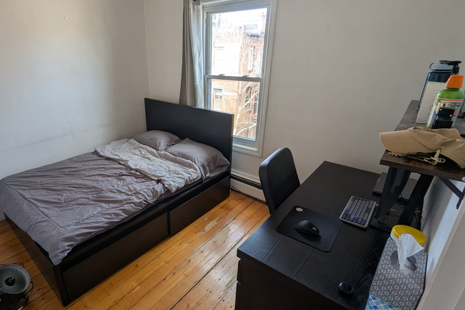 Bedroom - 52 Delle Ave Summer Sublet