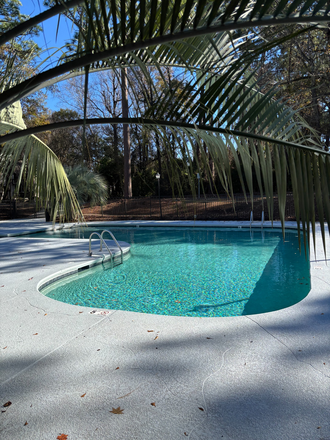 Pool - The Willow Apartments