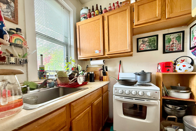 kitchen - Charming North Brookline 1 bed - pet friendly - NO FEE for 9/1 Apartments