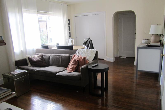 Living Room - 2 bed 1 bath in Brookline! All Newly Renovated available 9/01 Apartments