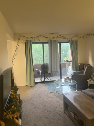 living room - Spacious and Private Summer Sublet (1 bedroom apartment) at Brandywine Apartments