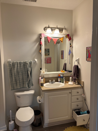 bathroom - The Province Apartments