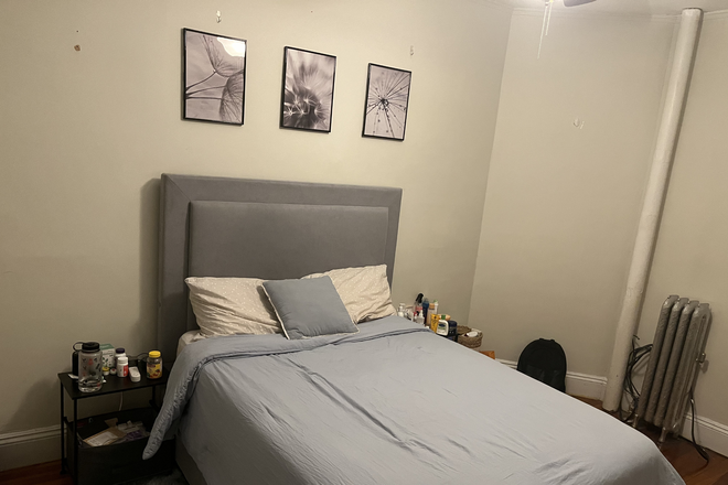 Bedroom - Brighton Apartment Sublet/Lease Takeover Jan/Feb-June2026