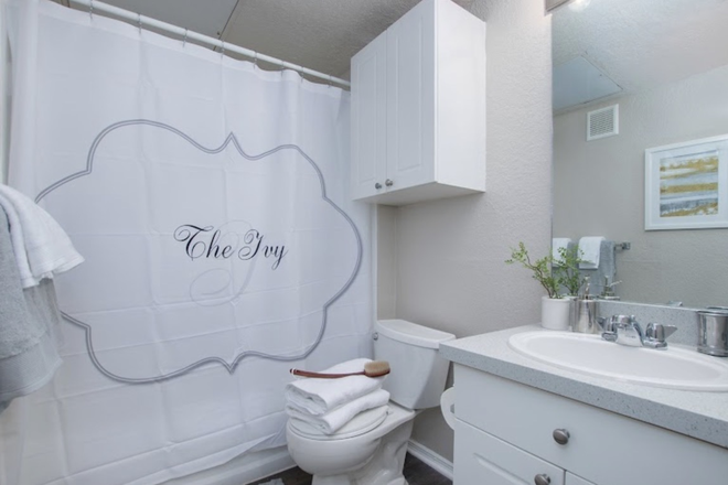 Bathroom - The Ivy Condo