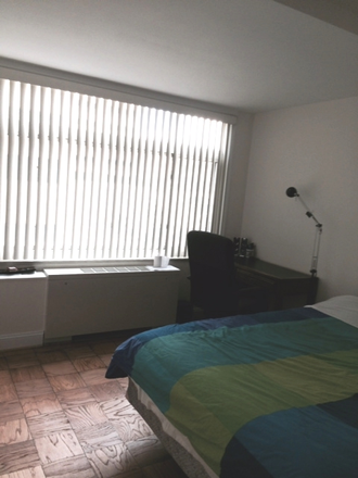Bedroom 1 - Renovated 2-Bed Room Apt. Available for one female student to share with a female medical student