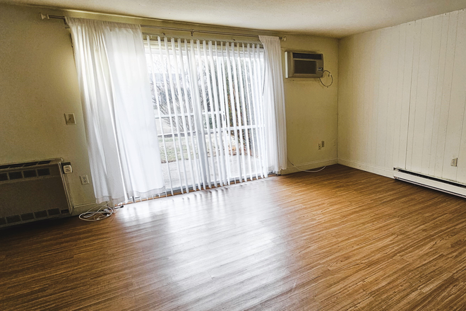 Lots of windows - 50 Meadow Street - 2 Bdr. 1.5 BTH (Townehouse of Amherst)