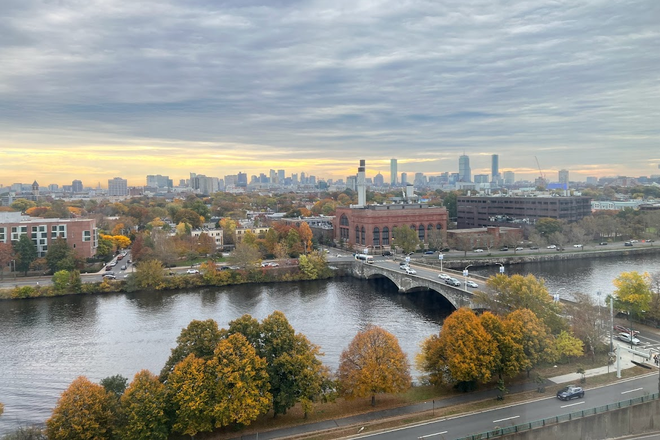 living room view - 1BR with a full Boston view Apartments