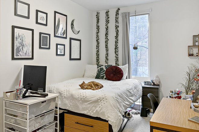 Example Bedroom - Olympia Place Apartments, Single Bedroom in 4-Bed Apartment