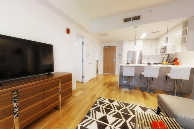 Living room - Private Bedroom and Bath Near Northeastern/Ruggles Apartments