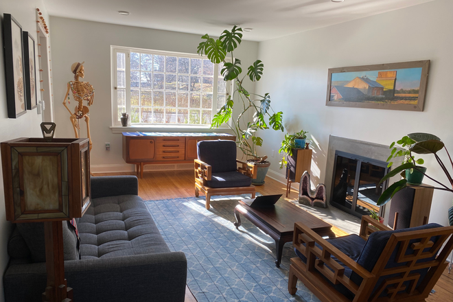 Sun filled living room with fireplace - Sublet:Furnished 4BR thome for PU Faculty/Staff only-College Rd W-Princeton