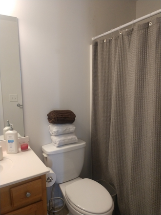 your full bath (shower curtain strays) - Roommate share wanted for fully furnished townhouse near Memorial Drive