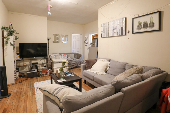 living room - Large Brookline 4 bed with updated kitchen! Available Sept 2026 Apartments