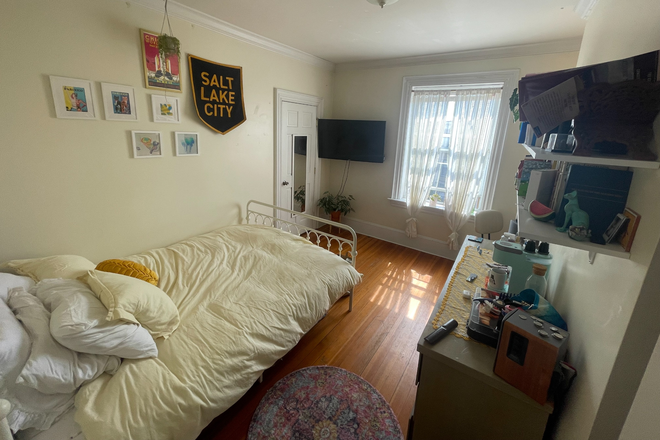 Bedroom - Bedroom Available in Cleveland Circle!