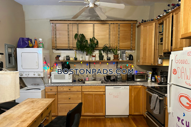 Kitchen - New 2025 Listing in Symphony! 3 Bed 1 Bath on Symphony Rd. Apartments