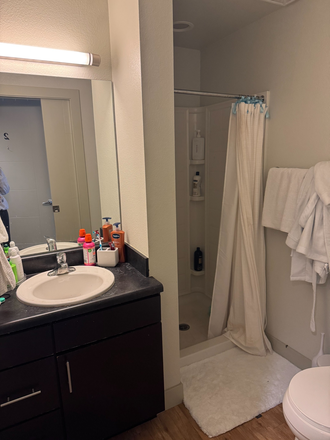 Bathroom (attached to bedroom) - Saga Boulder Apartments