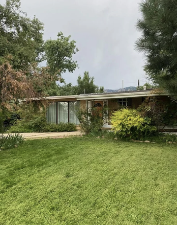 front lawn - One room left! 5 bed 3 bath house with big backyard (small pets welcome)