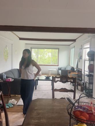 Living room - Spacious, brightly lit bedroom for subletting close to Tufts campus and Davis Square Duplex