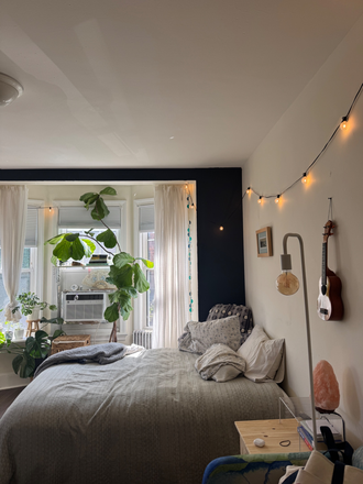 studio - Spring Semester Coolidge Corner Studio Sublet Apartments