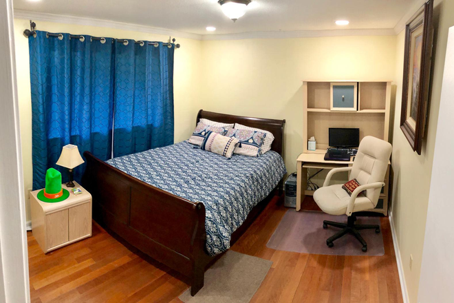  - SEEKING MALE STUDENT/PROFESSIONAL FOR ROOM IN HOME W/PVT. ENTRANCE CLOSE TO  USF