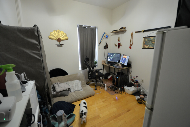 main room - HALF Broker FEE...Teeny Tiny Studio on Westland Ave. Apartments