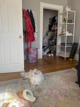 Bedroom - Private room close to campus