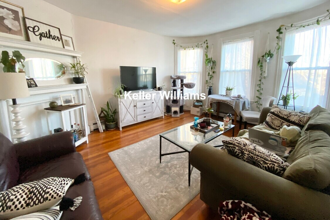 Living Room - Bedroom in Mission Hill Apartment