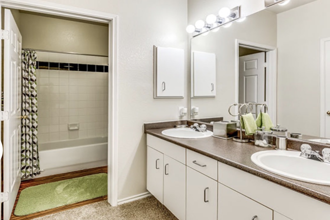 Bathroom, but Jack and Jill concept - The Ridge at North Texas Apartments