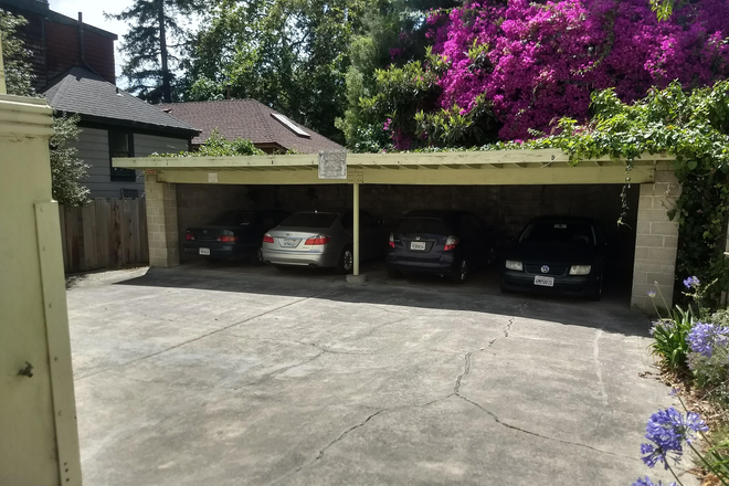 Carport - 4 blocks to campus, law school, parking space, top floor, hardwood floors throughout Apartments