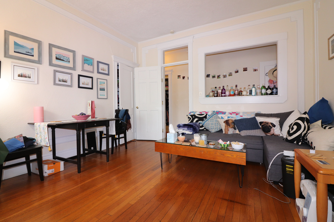 living room - Sunny Pet Friendly Comm Ave 1 bed for 8/1 - NO FEE!