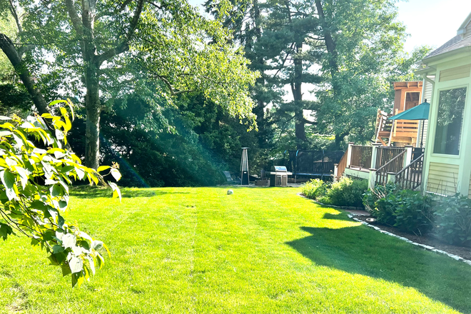 Backyard - 5 BR/3.5 Ba: Belmont <2 mi to Cambridge. Quiet residential w/ easy access MBTA,shops,restaurant House