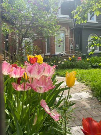 Walkway to front door - Private Room + house to share