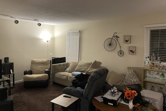 Living room - Mill Creek Apartment G12 | LOOKING FOR ONE MORE