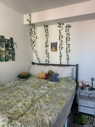 Bedroom - Summer 1 Sublet Lightview Shared Bedroom