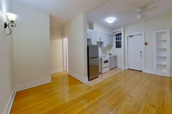 Kitchen / Living Area - 135 Earl Place #4: Spacious 1 bedroom 1 bathroom apartment (with shared deck access)