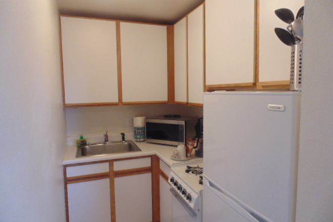 Kitchen - Fully Furnished Apartment, Month to Month, All Utilities Internet/Streaming Included, walk to CU!