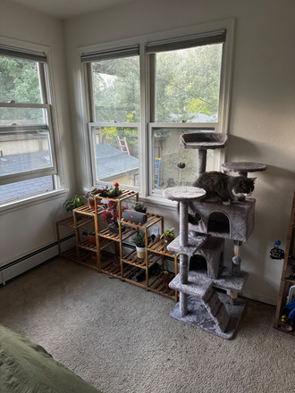 Windows/decorations - 533 22nd st — Master bedroom spring sublet Near the hill House