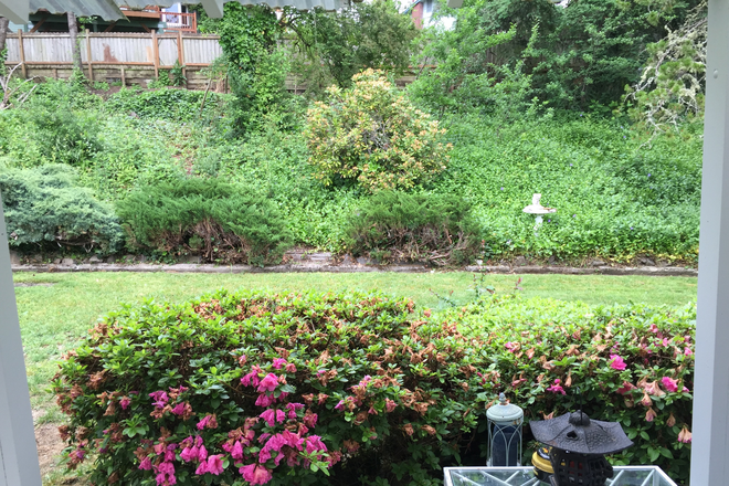 Backyard - Private Room in Beautiful South Eugene Home