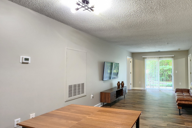 Living Room - 1 Furnished Bedroom with Private Bath in Renovated Apartment Chapel Hill