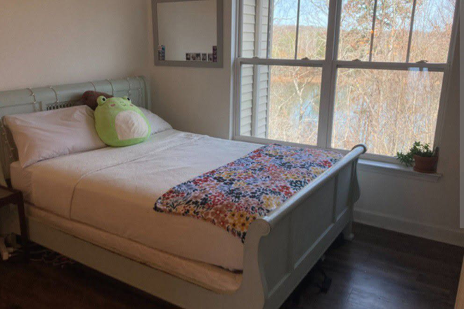 Imagine sleeping on this jawn. Honk Shoo MiMiMi type shi - Lakefront Room at Harts Cove Condo