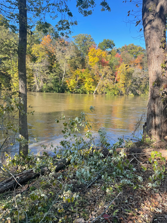 Riverside drive just steps away - Cozy Riverside home