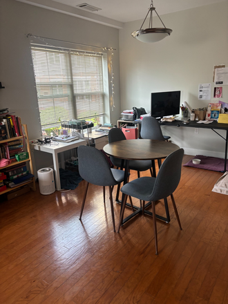 living area - 1BR apt-Spring St-Princeton