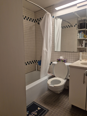 bathroom (shared with roommate in unit) - Harvard Housing Summer Sublet - 1B in Peabody Terrace 2B1B Apartments