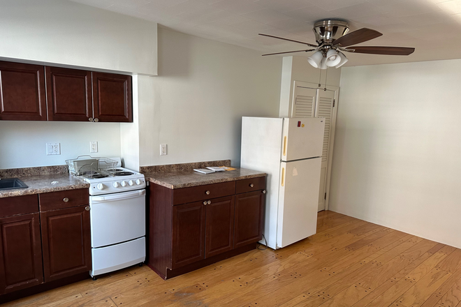 Kitchen - Lg modern 1 BR, lots of sun, quiet owner-occupied bldg.