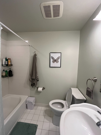 Shared Full Bathroom - Furnished room in shared home-Washington St-Rocky Hill