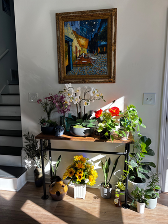 Walking in the house - Casa de Red Bull House