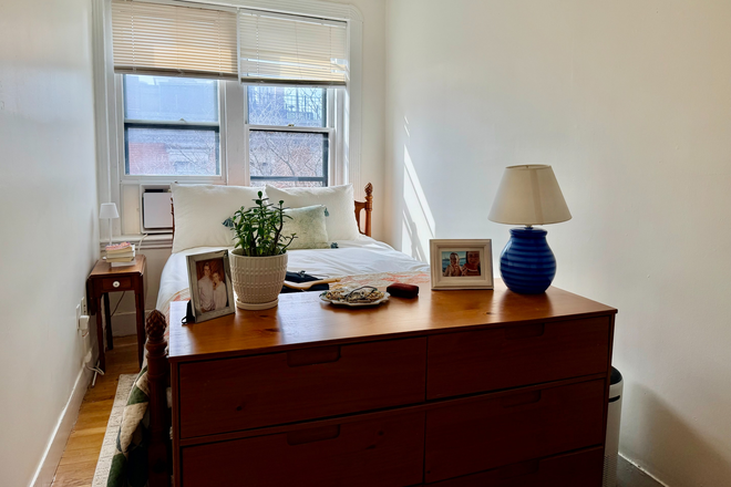 1 - Beacon Hill 2 bed top floor laundry and shared roof deck NO FEE 9/1 Apartments